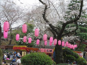 新井薬師公園（3/29）